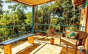 Casa Papaya